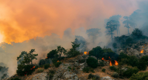 Incendi in Sicilia, l'inchiesta: fondi dispersi e cittadini lasciati soli